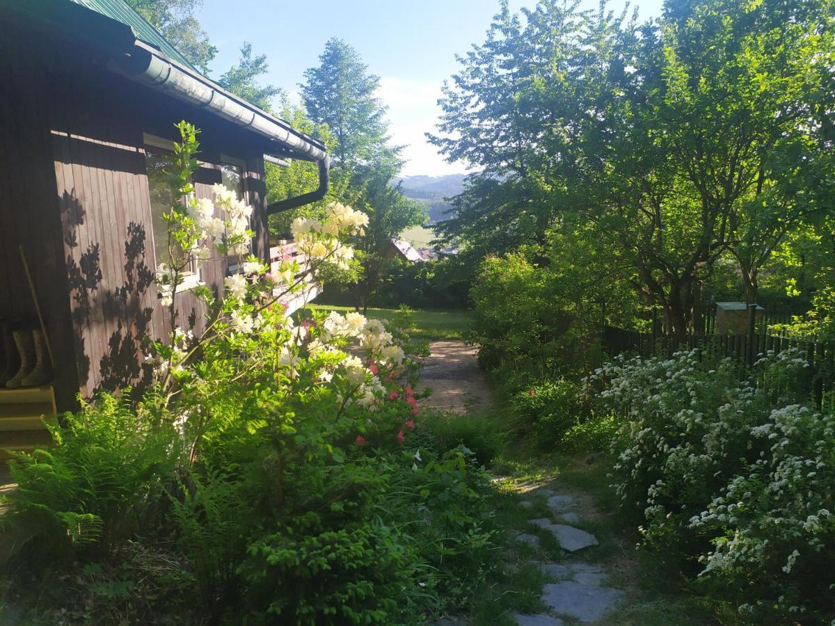 Chata Na Poskle U Lesa S Vyhledem Hutisko Dış mekan fotoğraf